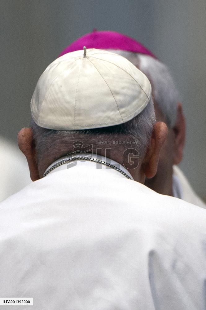 Pope Francis receives pilgrims from Concesio and Sotto il Monte in audience