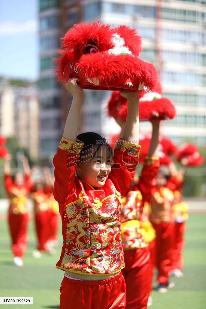 School Quality Education Practice Lion Dance