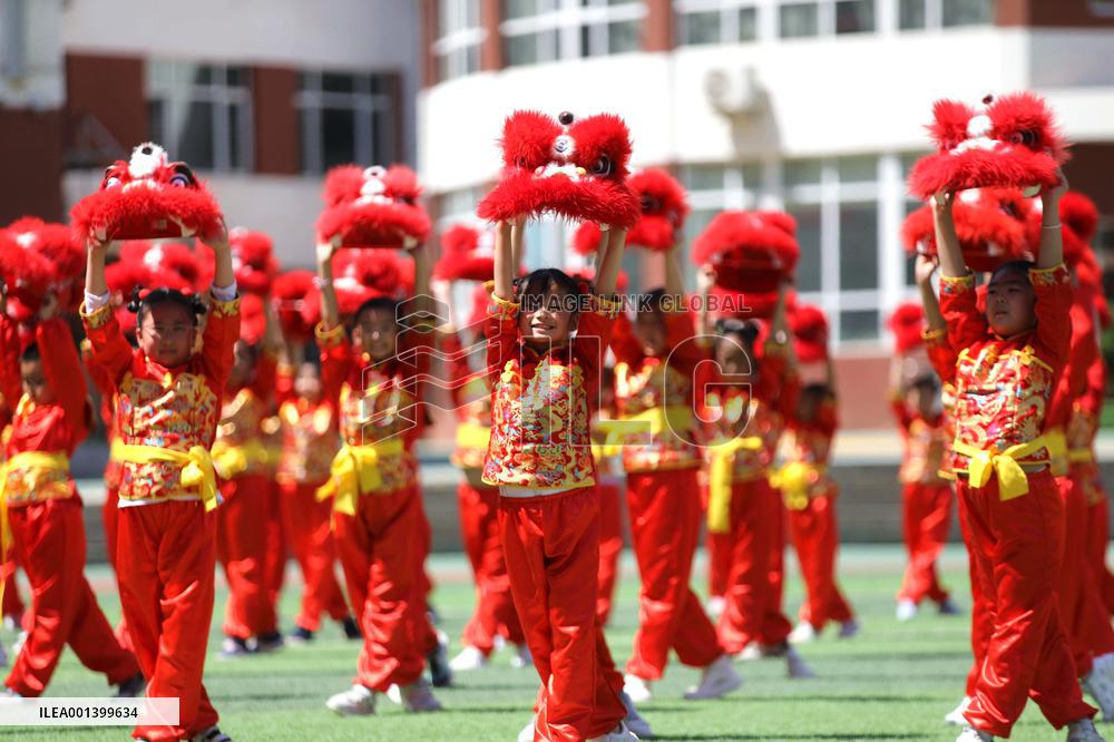 School Quality Education Practice Lion Dance