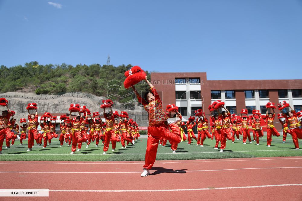 School Quality Education Practice Lion Dance