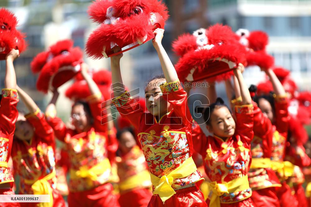 School Quality Education Practice Lion Dance