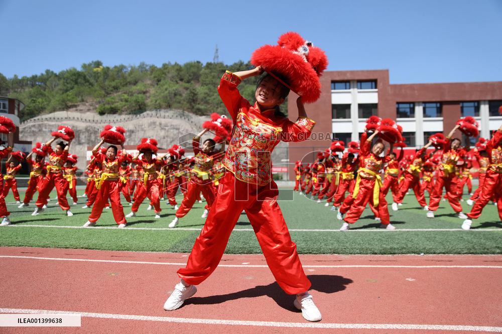 School Quality Education Practice Lion Dance