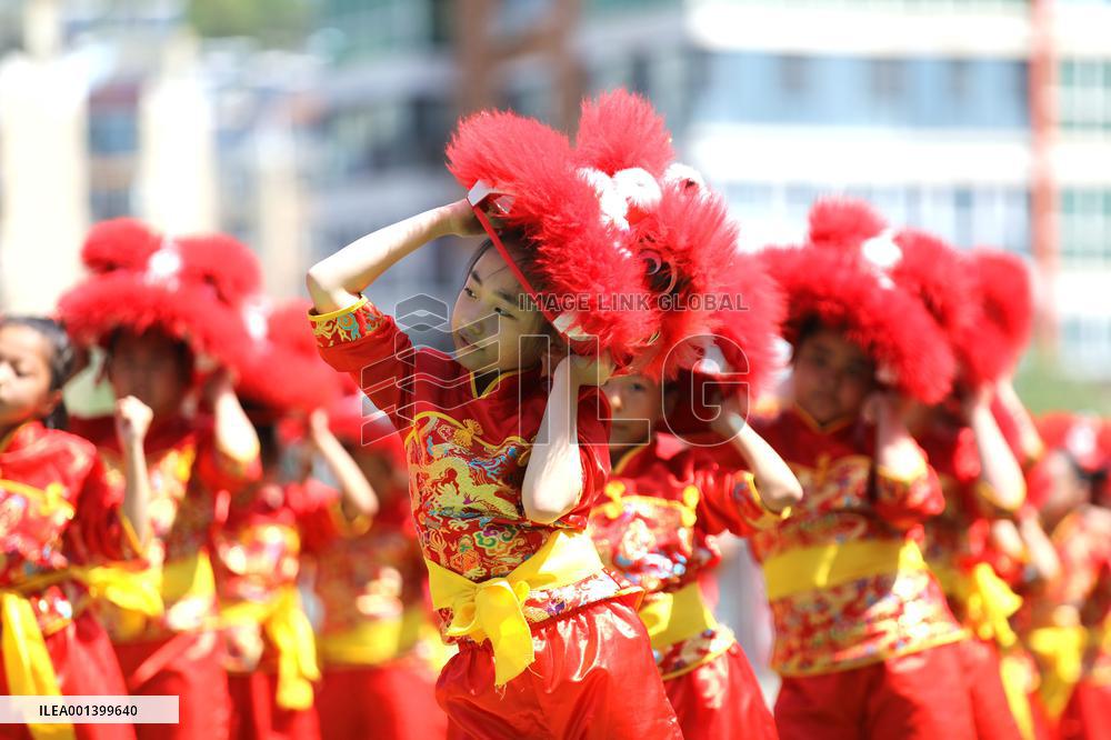 School Quality Education Practice Lion Dance