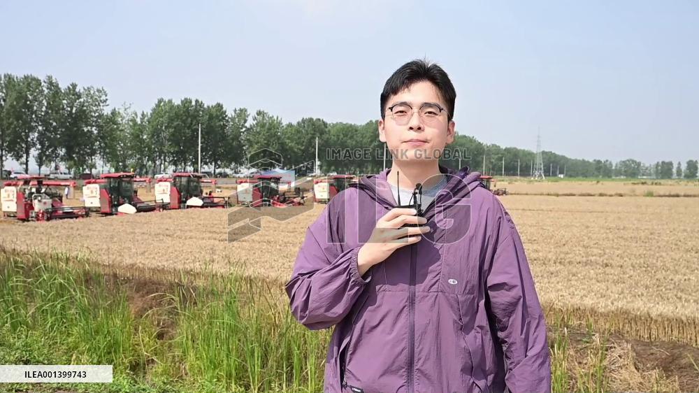 China's Anhui holds grain loss reduction competition during summer harvest season