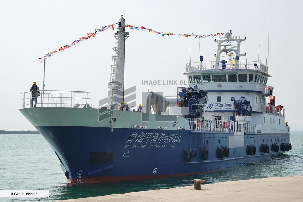 Fully Automatic Intelligent Live Fish Transport Ship Put Into Use