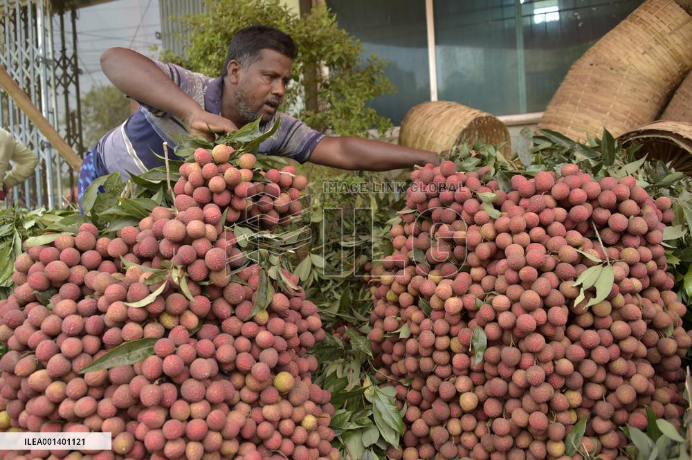 BANGLADESH-DINAJPUR-LYCHEE SEASON