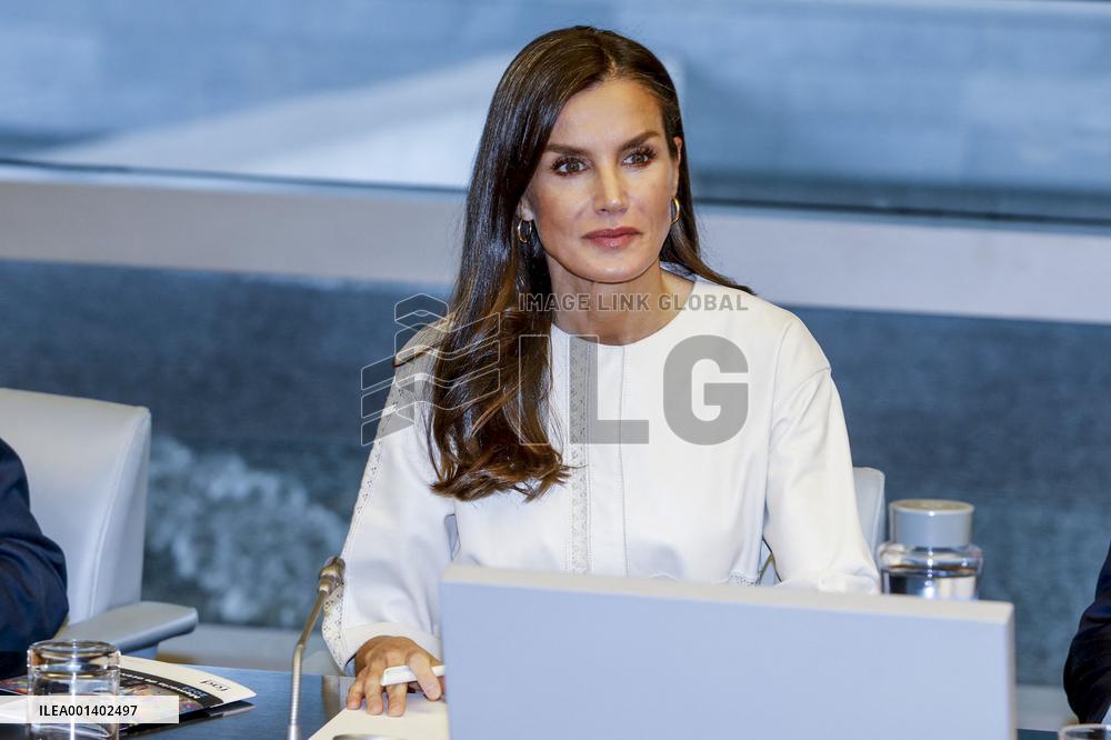 Queen Letizia Attends FAD Meeting - Madrid