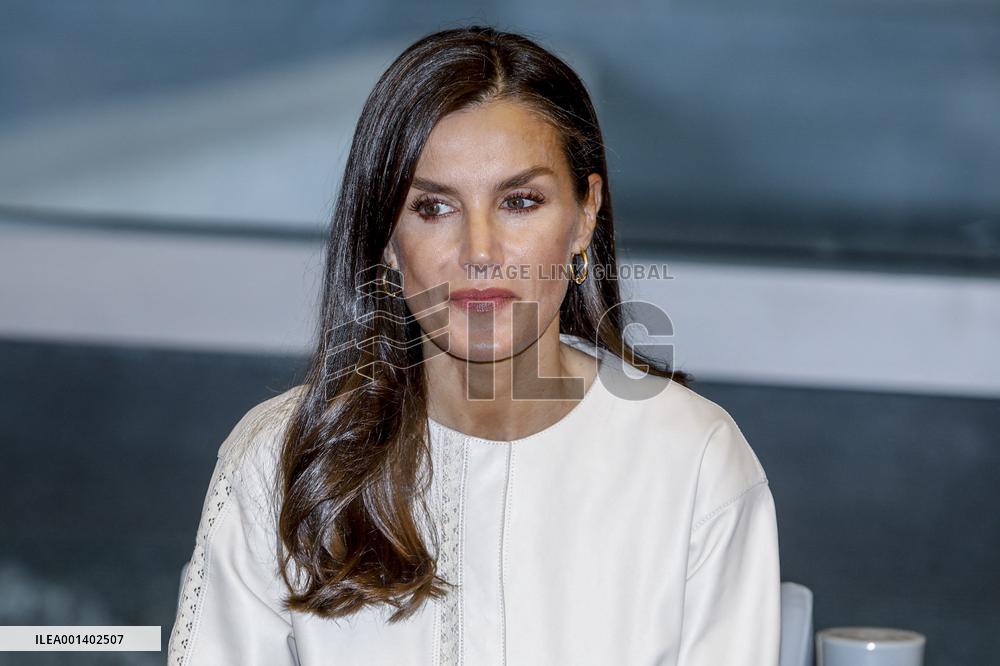 Queen Letizia Attends FAD Meeting - Madrid