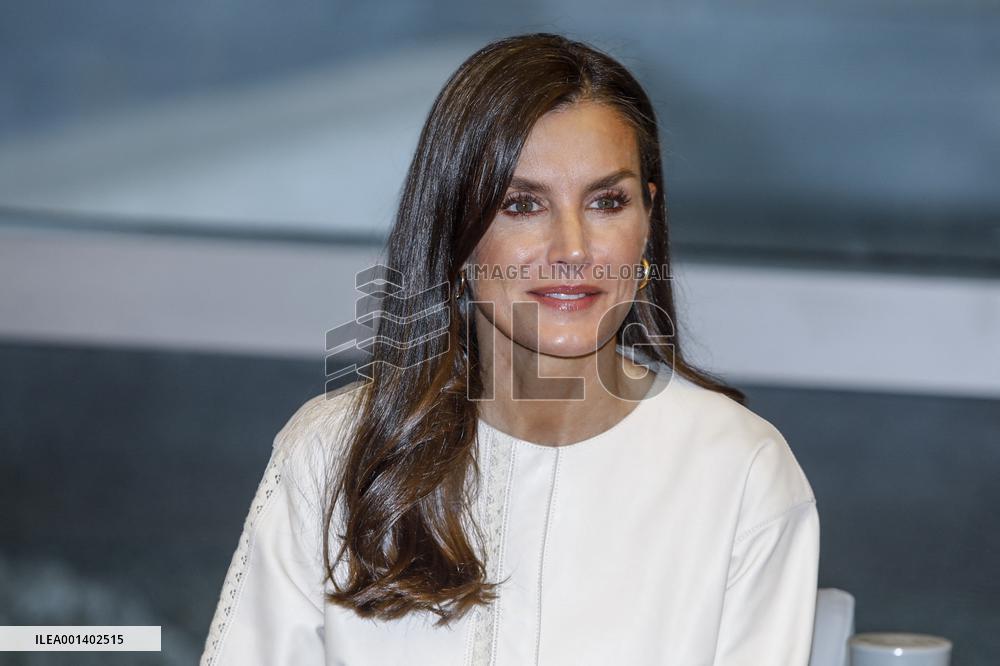 Queen Letizia Attends FAD Meeting - Madrid