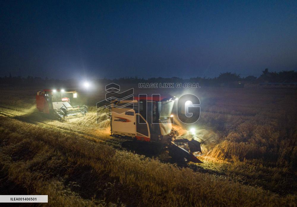 #CHINA-WHEAT-HARVEST (CN)