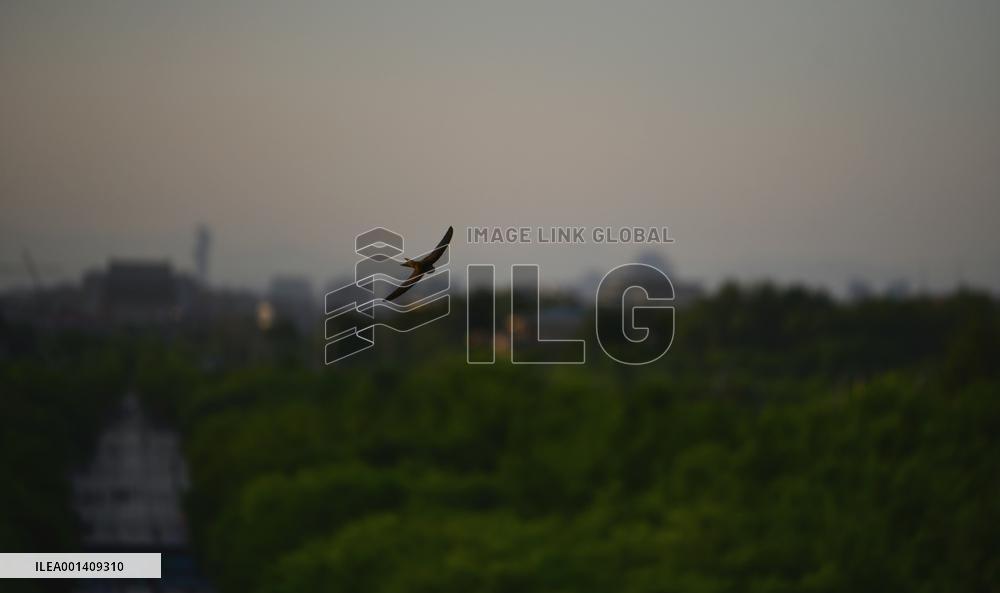 Central Axis of Beijing