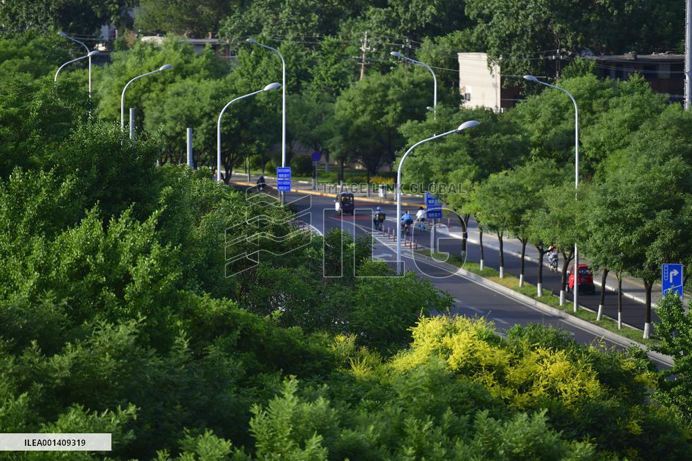 Central Axis of Beijing