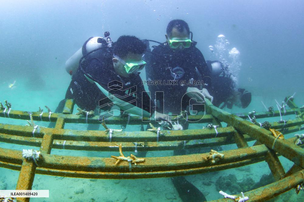 CHINA-HAINAN-FENJIEZHOU ISLAND-MARINE ENVIRONMENT (CN)