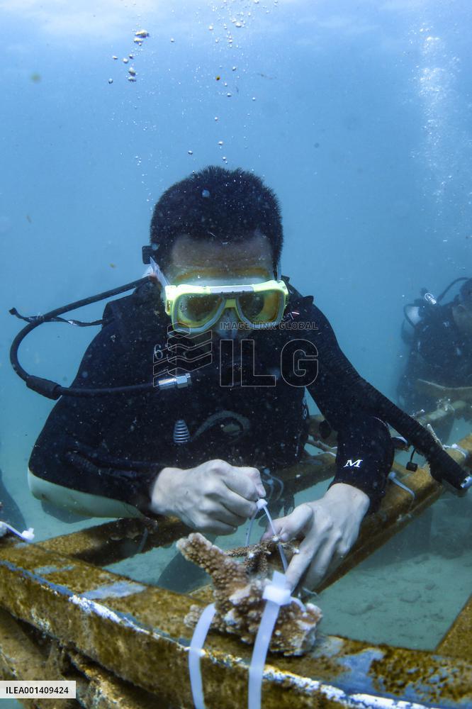 CHINA-HAINAN-FENJIEZHOU ISLAND-MARINE ENVIRONMENT (CN)