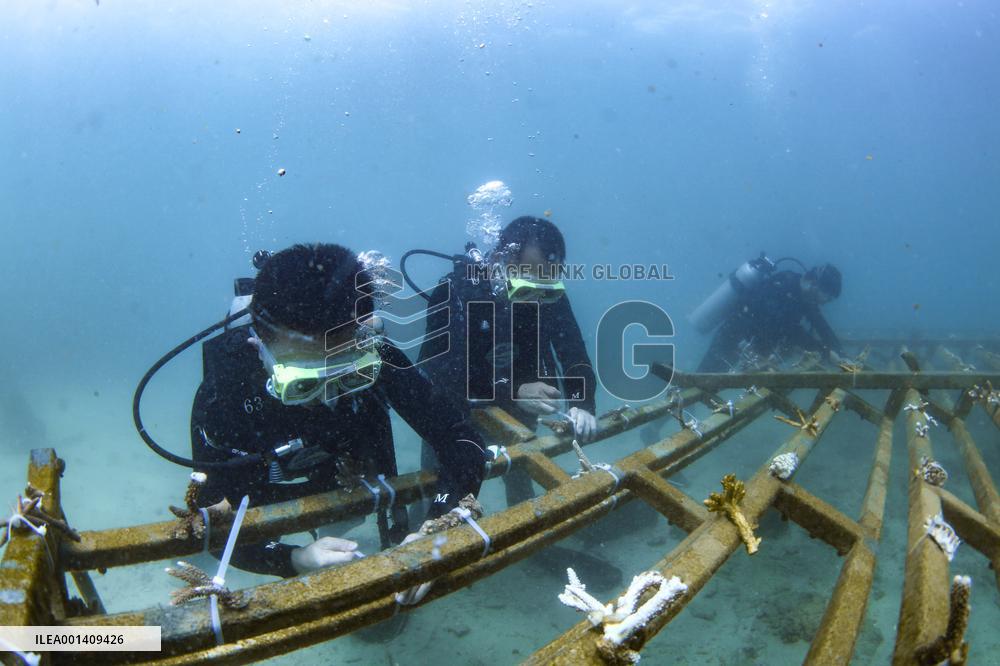 CHINA-HAINAN-FENJIEZHOU ISLAND-MARINE ENVIRONMENT (CN)
