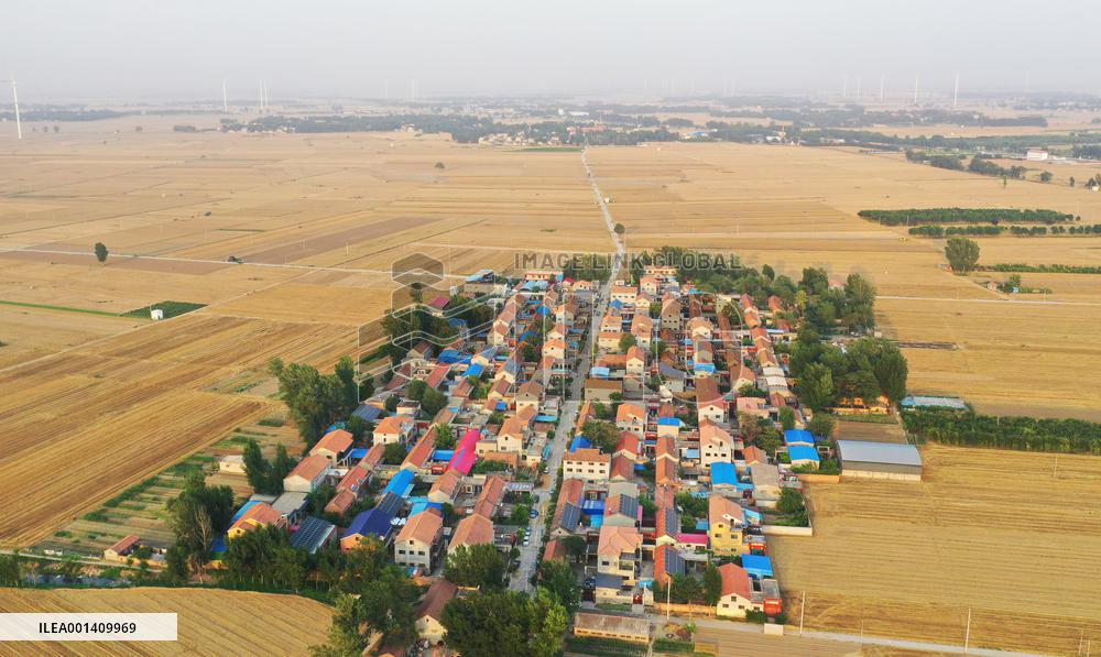 CHINA-HENAN-WHEAT-HARVEST (CN)