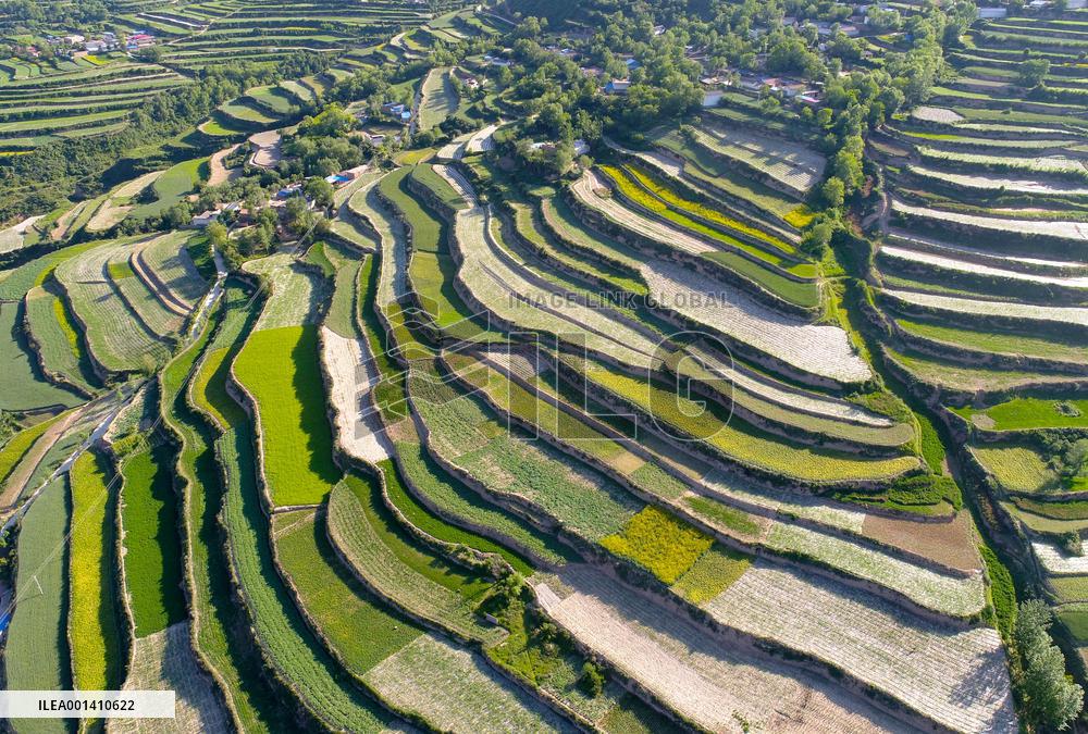 Ecological Agriculture
