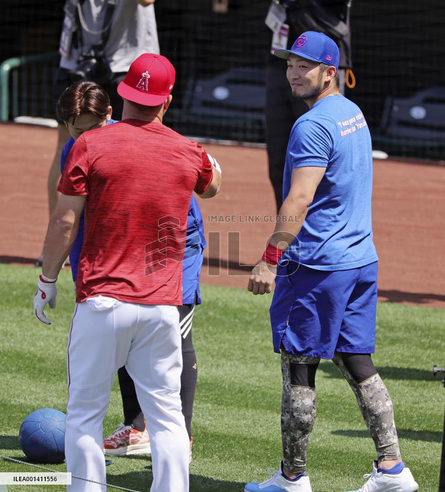 Baseball: Cubs vs. Angels