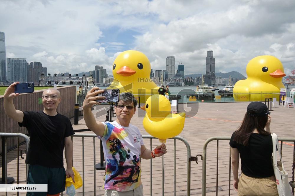 Giant inflatable ducks at Hong Kong harbor