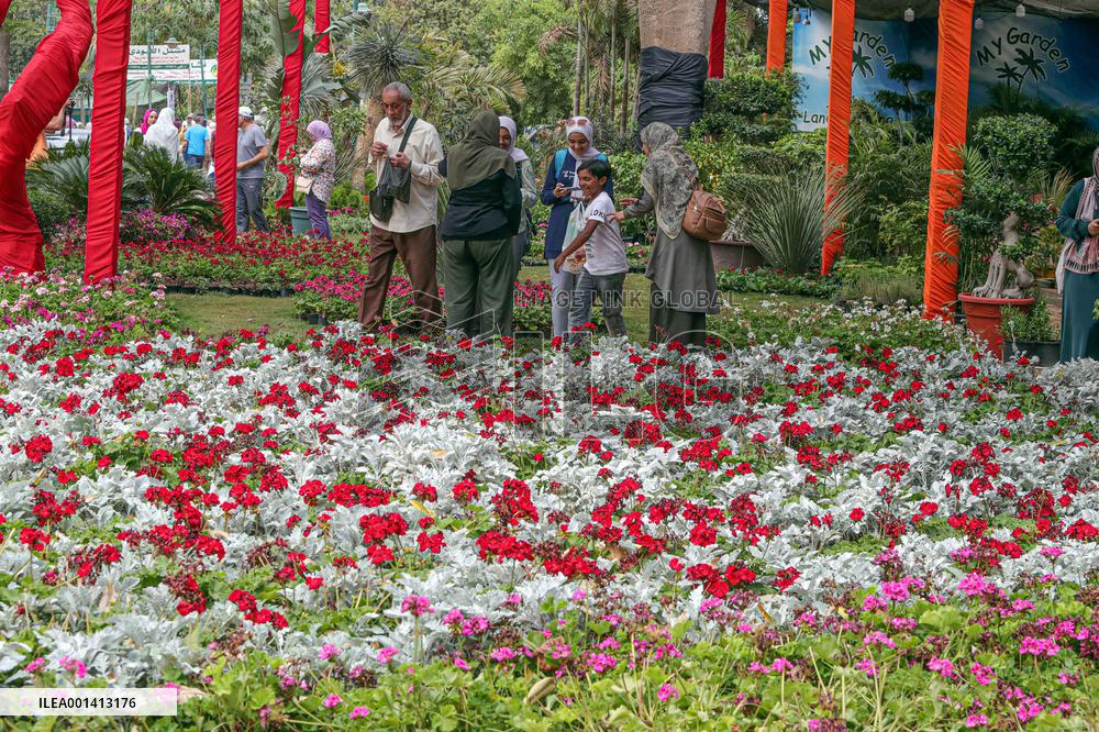 EGYPT-CAIRO-SPRING FLOWERS EXHIBITION