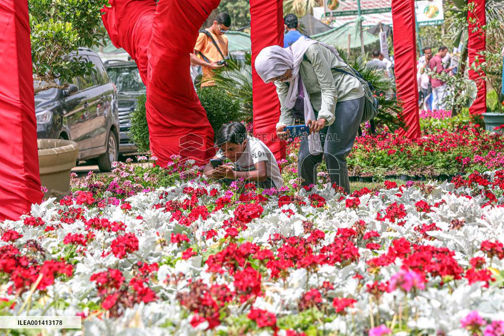 EGYPT-CAIRO-SPRING FLOWERS EXHIBITION