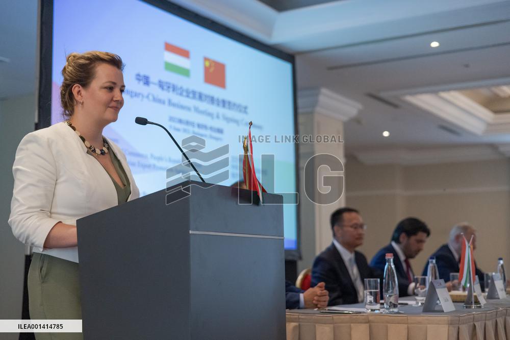HUNGARY-BUDAPEST-CHINA BUSINESS MEETING