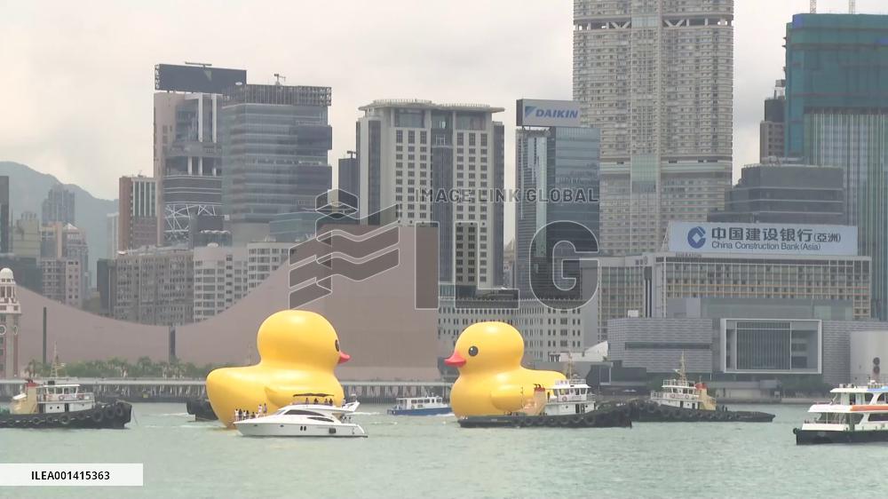 Hong Kong welcomes back its favorite giant rubber ducks after 10 years