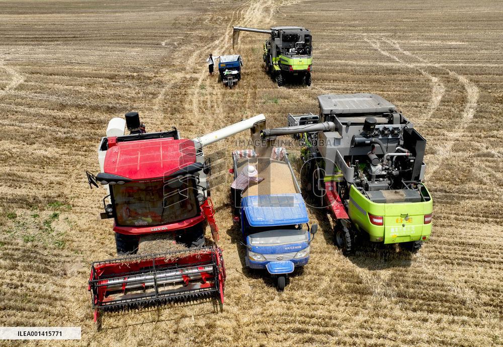#CHINA-WHEAT-HARVEST (CN)