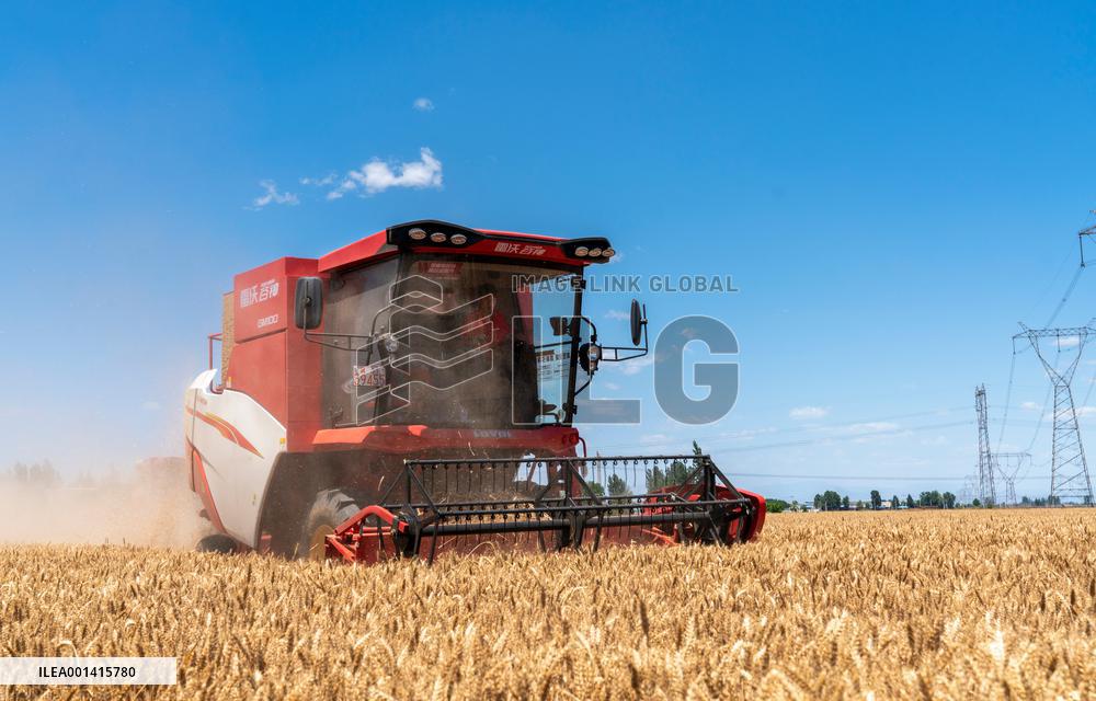 #CHINA-WHEAT-HARVEST (CN)