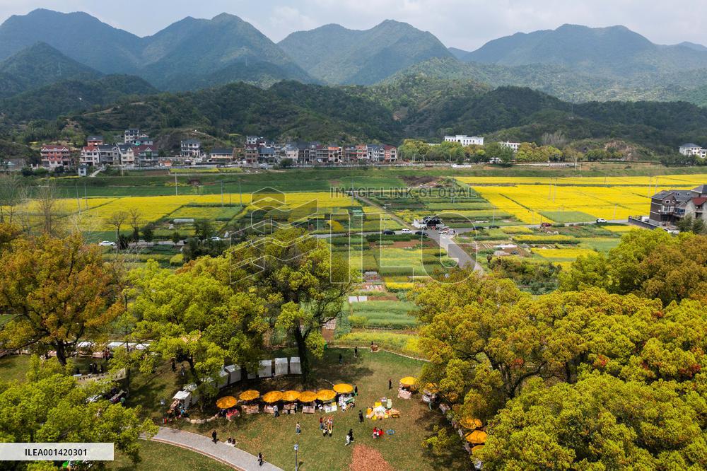 CHINA-ZHEJIANG-RURAL GREEN REVIVAL PROGRAM-VILLAGES(CN)