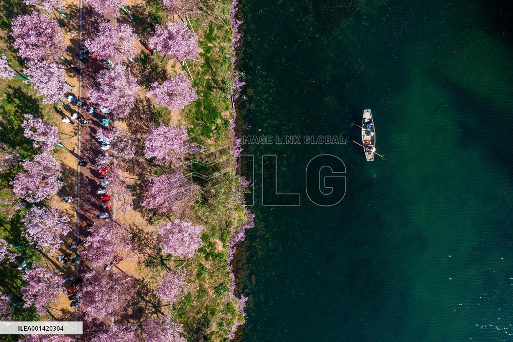 CHINA-ZHEJIANG-RURAL GREEN REVIVAL PROGRAM-VILLAGES(CN)