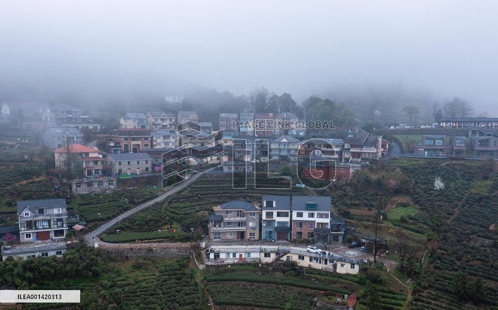 CHINA-ZHEJIANG-RURAL GREEN REVIVAL PROGRAM-VILLAGES(CN)