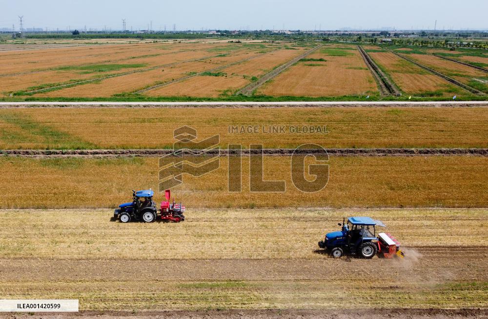 CHINA-TIANJIN-SUMMER HARVEST-MACHINES (CN)
