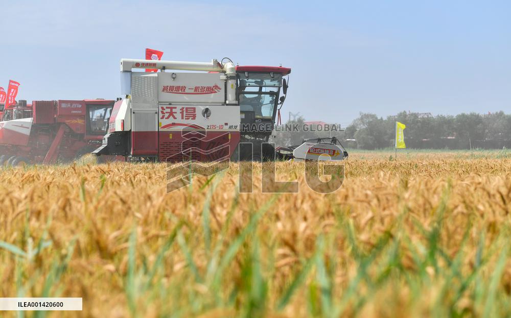 CHINA-TIANJIN-SUMMER HARVEST-MACHINES (CN)