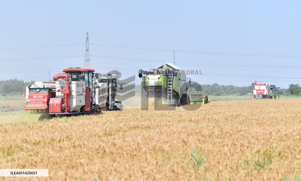 CHINA-TIANJIN-SUMMER HARVEST-MACHINES (CN)