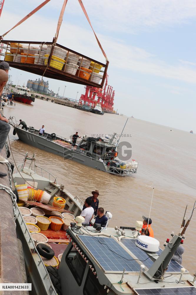 Fishery Shrimps Industry