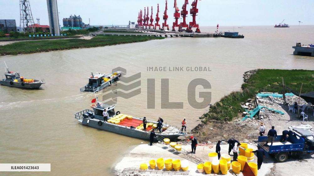 Fishery Shrimps Industry