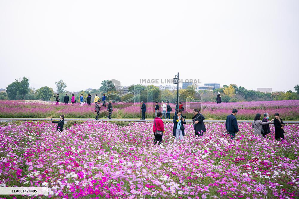 CHINA-ZHEJIANG-GREEN RURAL REVIVAL PROGRAM-VILLAGES (CN)