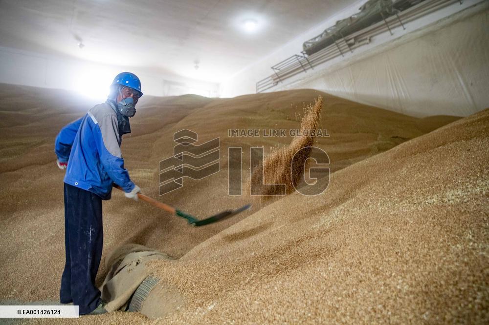 National Grain Reserve