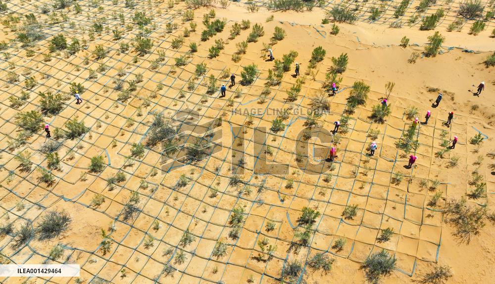 Environment Imporve In China