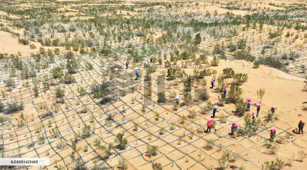 Environment Imporve In China