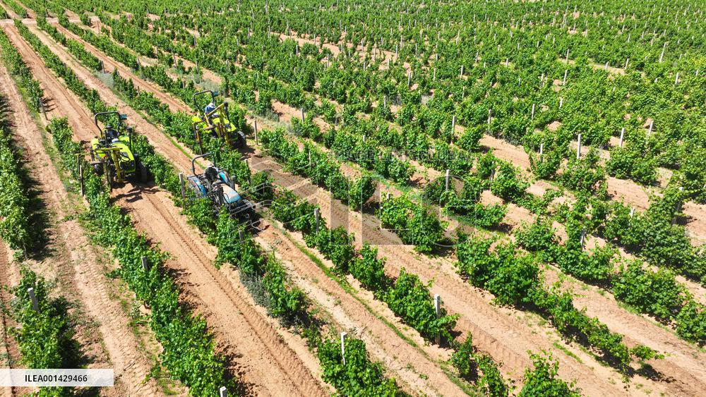 Environment Imporve In China