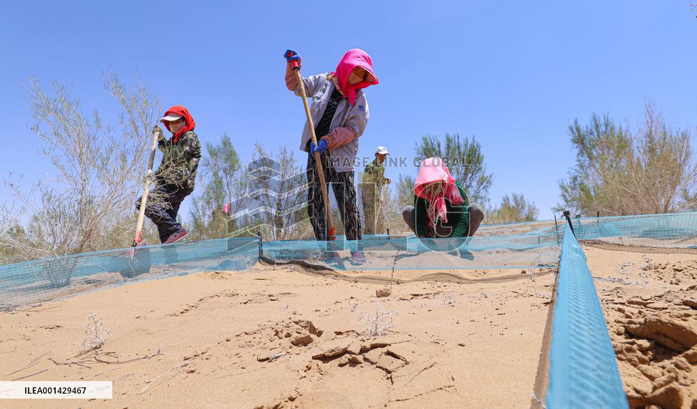 Environment Imporve In China