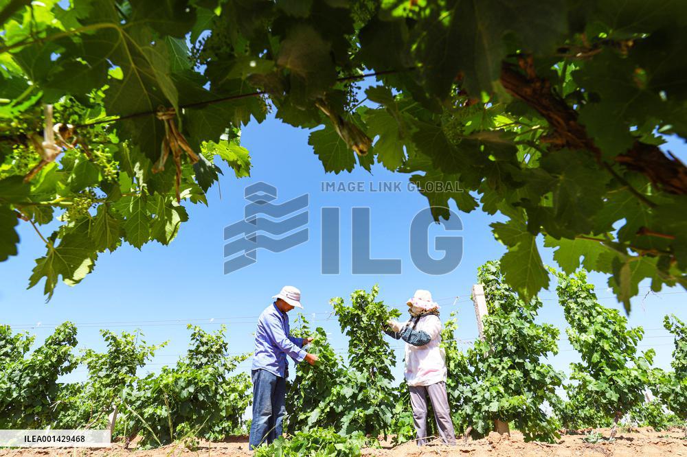 Environment Imporve In China