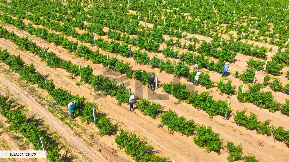 Environment Imporve In China