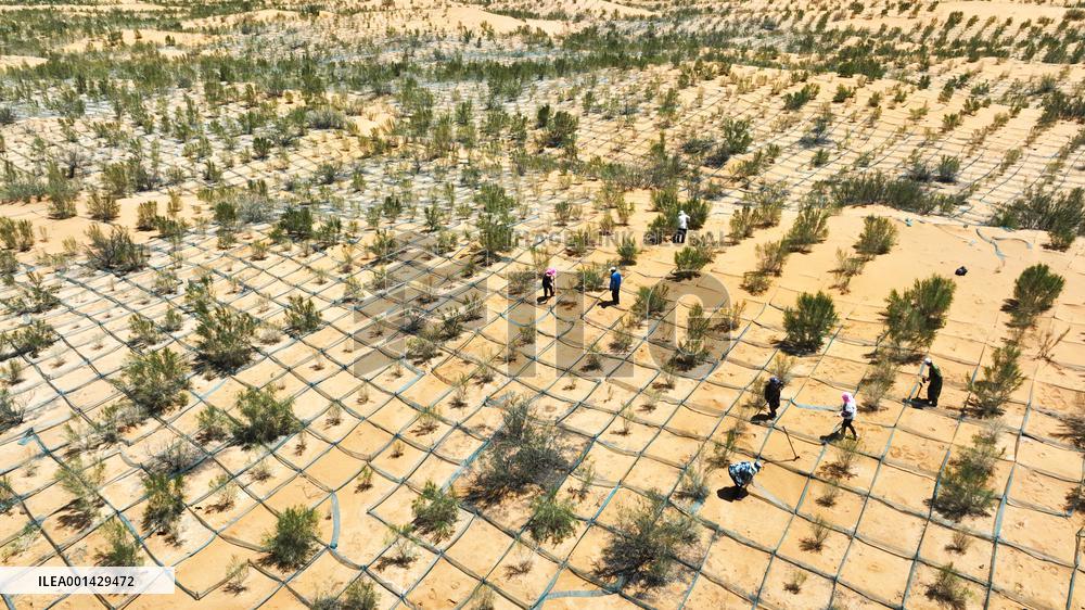 Environment Imporve In China