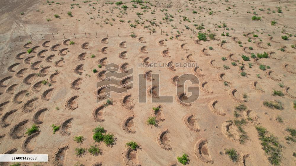 NIGERIA-KANO-CHINA-BACKED DESERTIFICATION CONTROL PROJECT