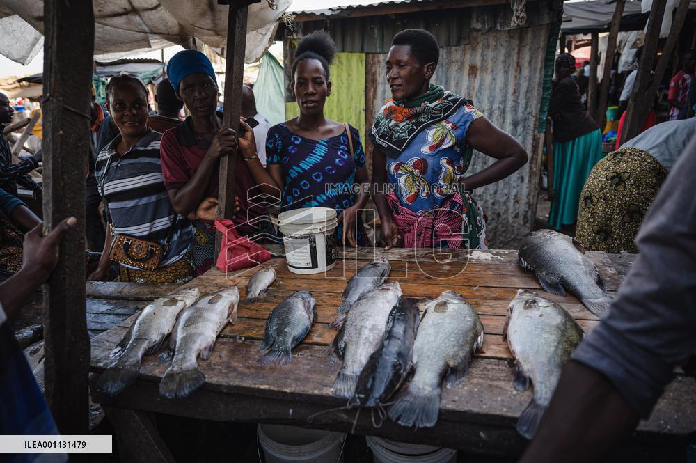 TANZANIA-MWANZA-LAKE VICTORIA-FISHERMAN