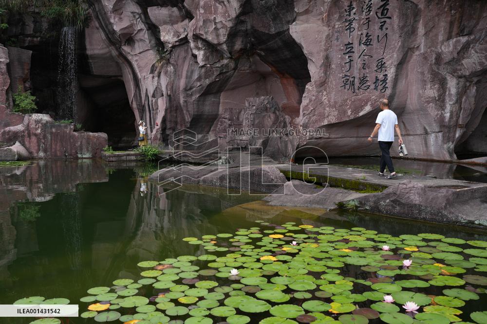 CHINA-ZHEJIANG-SANMEN-GREEN RURAL REVIVAL PROGRAM (CN)