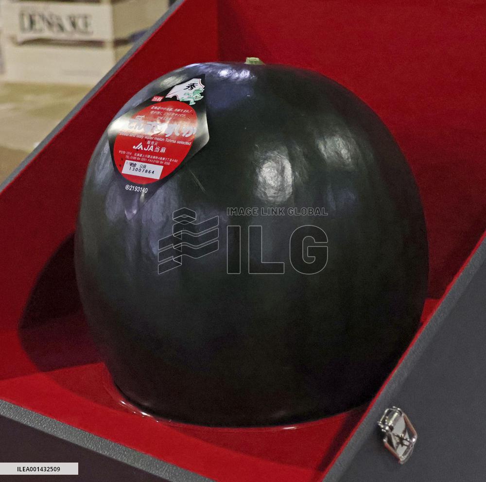 Premium watermelon in northern Japan